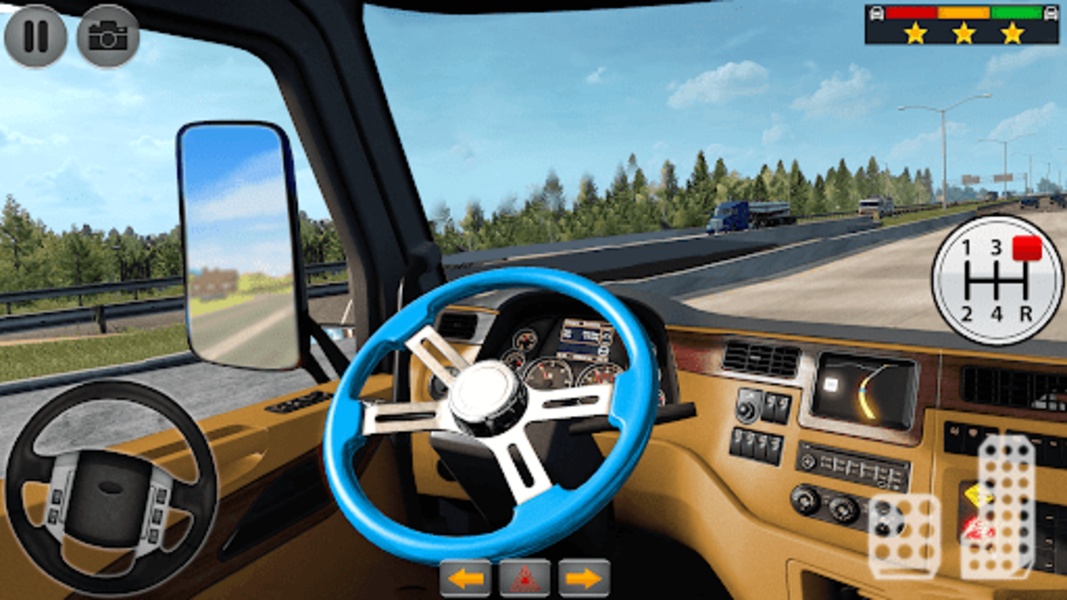 Semi Truck Driver - Preview 6