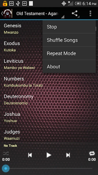 Swahili Audio Bible - Preview 1