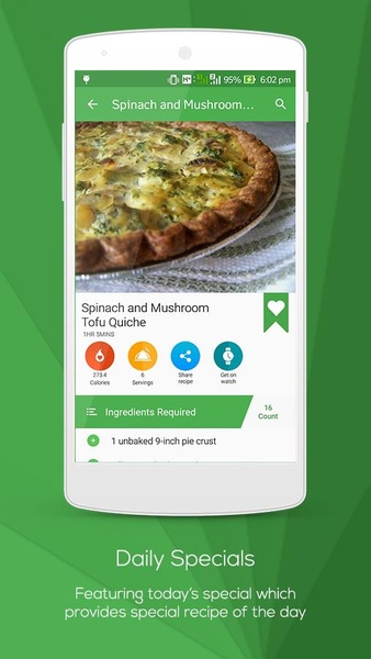 Low Calorie Recipes - Preview 16