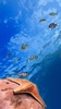 Ocean Fish Live Wallpaper screenshot 8