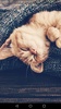 Cute Cats Wallpapers - Kitten screenshot 3