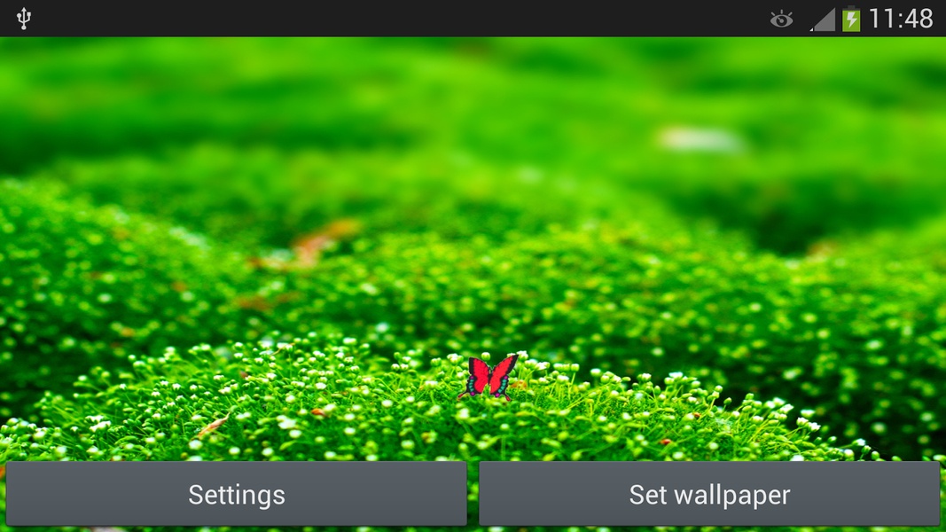 Green - Preview 3