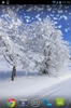 冬季雪景 screenshot 8