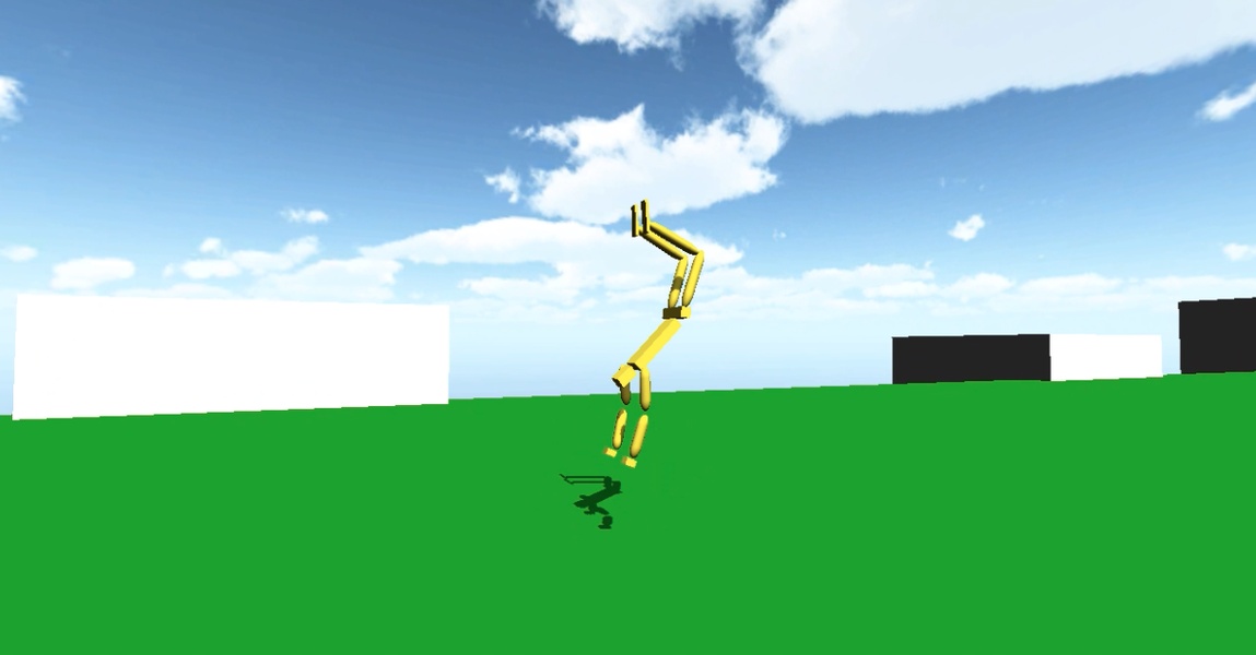 backhandsprings - Preview 1