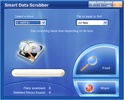 Smart Data Scrubber screenshot 2