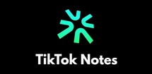 TikTok Notes feature