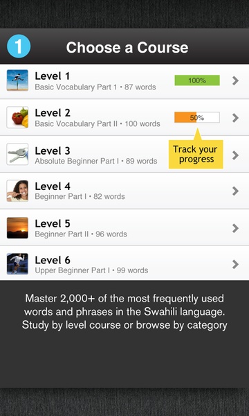 WordPowerLt - Preview 6