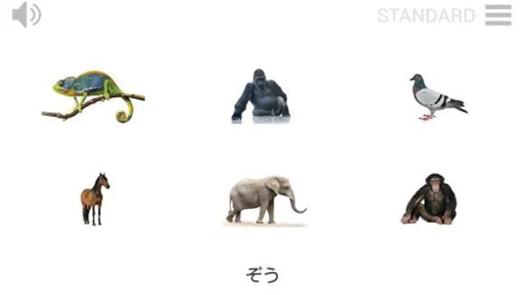 Play & Learn JAPANESE - Preview 7