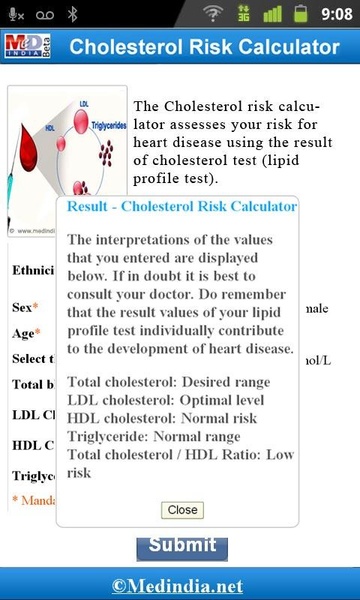 Cholesterol Risk Calculator - Preview 1