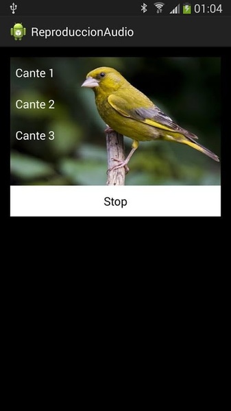 Canto del Verderon - Preview 1