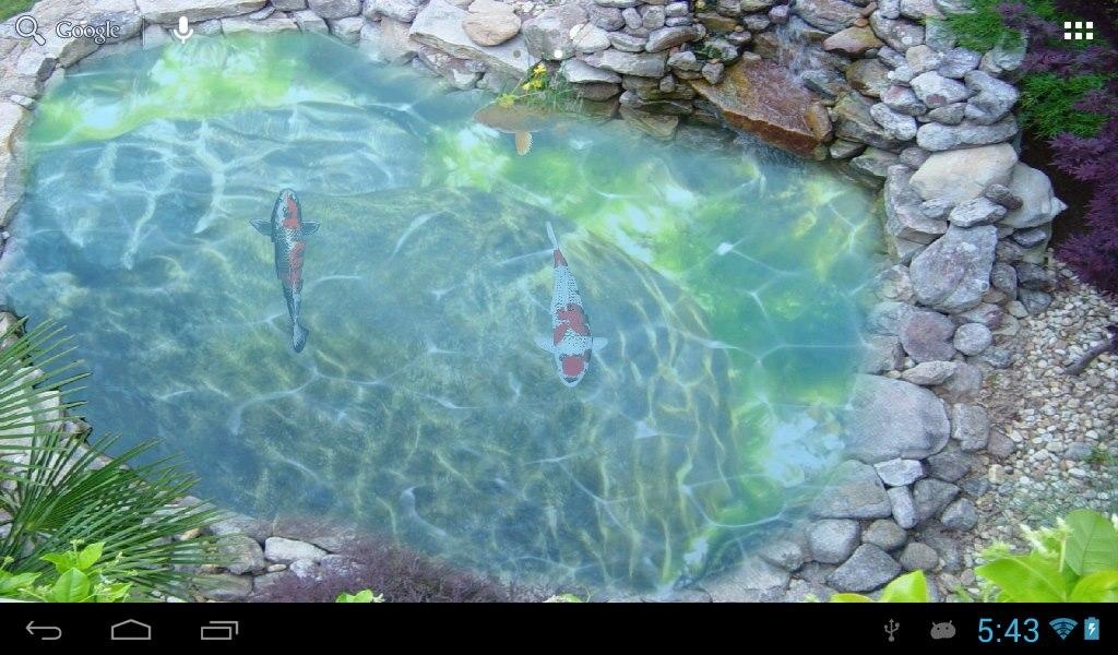 Koi fish pond II - Preview 1
