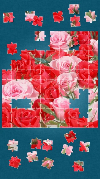 Roses Jigsaw Puzzle - Preview 2