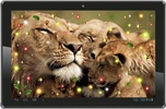 Lion Sounds HD live wallpaper screenshot 4