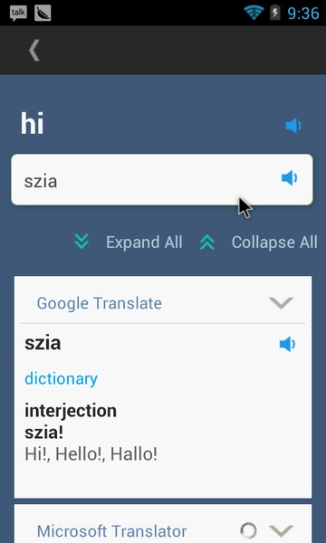 Hungarian English Translator - Preview 3