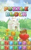 Puzzle Block screenshot 5