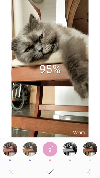 9cam - Preview 4