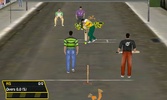 Street Cricket screenshot 3