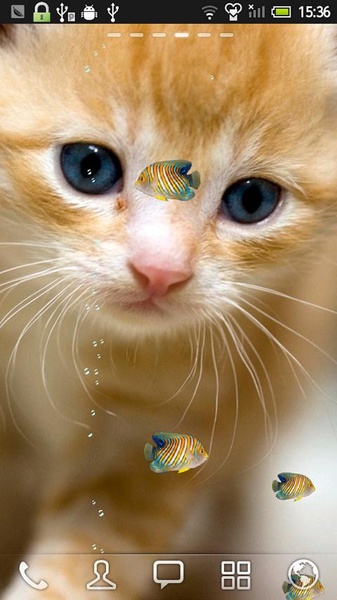 FISH&CAT LIVE WALL PAPER (8) - Preview 2