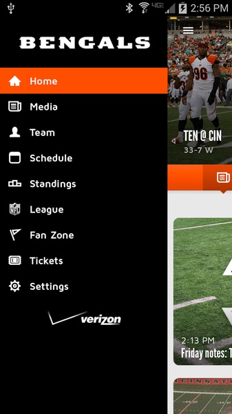 Bengals - Preview 5