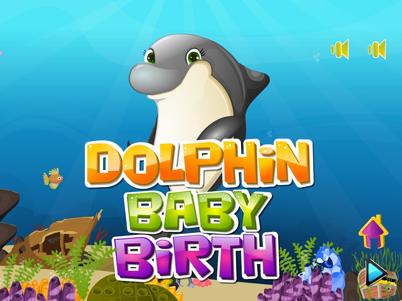 Dolphin Baby Birth - Preview 9