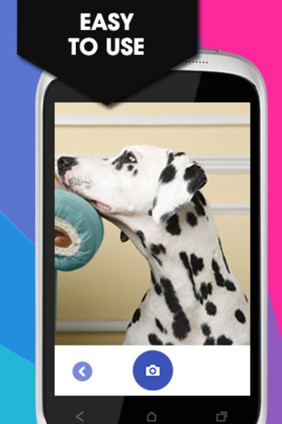 Retro Photo Editor - Preview 7