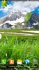 Spring Live Wallpaper Lite screenshot 3