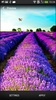 Lavender Live Wallpaper screenshot 5