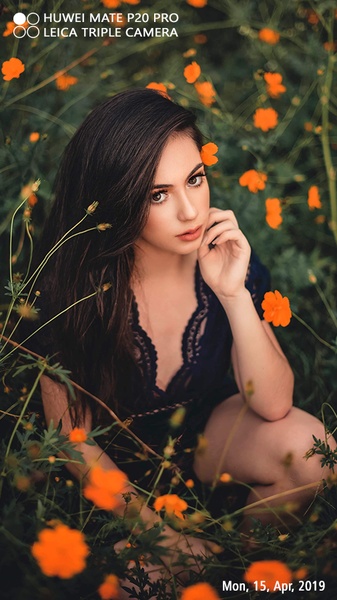 Shot On Stamp - Preview 2
