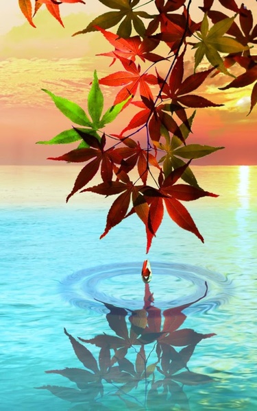 Water Drop. Flowers and Leaves. - Preview 3
