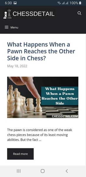 Chess Detail - Preview 2