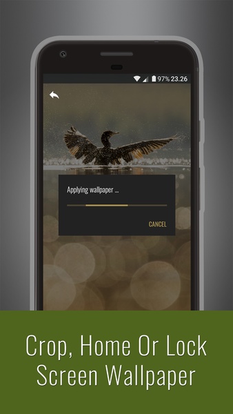 Animals Wallpapers - Preview 2