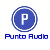 Punto Audio screenshot 2
