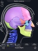 Skeleton Anatomy Pro. screenshot 3