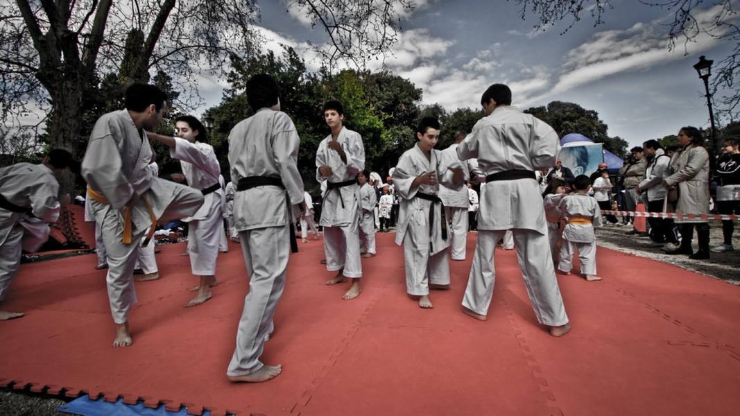 Karate Training - Preview 3
