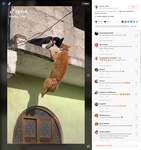 ����� �� ��� TikTok ��������� aff5a5ea9218234de196