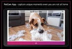 PetCam App - Dog Camera App screenshot 3