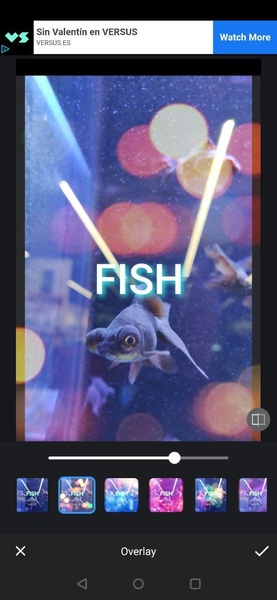 Selfie Editor - Preview 2