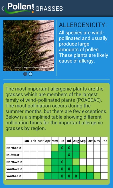 Allergy Alert - Preview 5