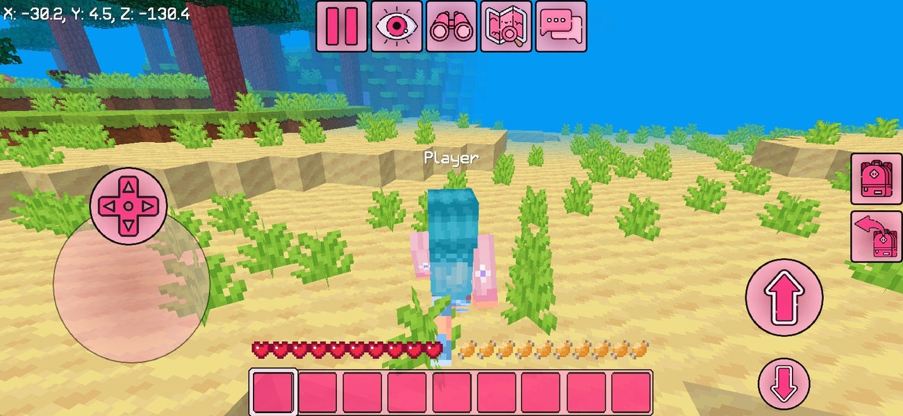 KawaiiCraft 2021 - Preview 4