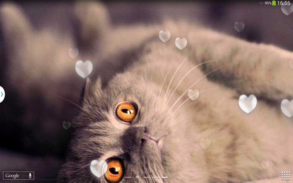 Cute Cats Live Wallpaper - Preview 6