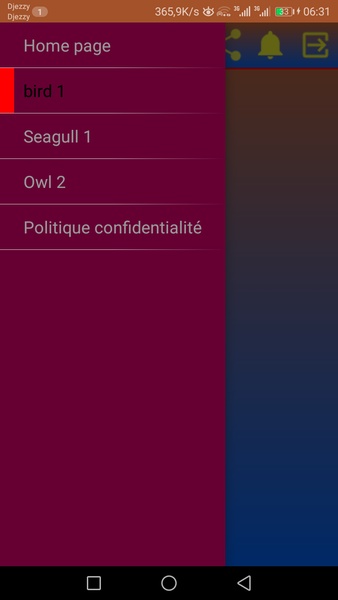 Relax birds - Preview 2
