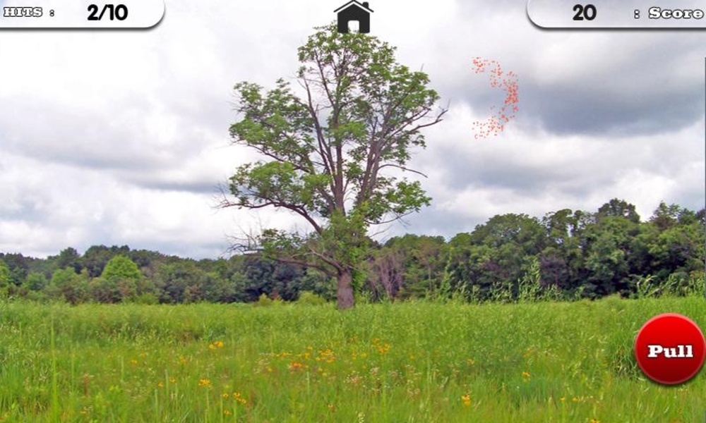 Shooting Sporting Clay - Preview 5