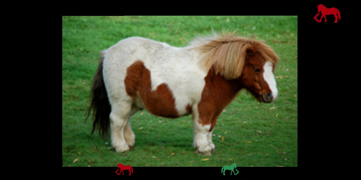 poniesandgamesforbabies - Preview 1