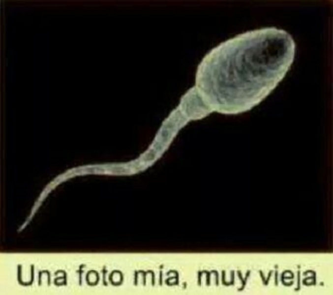 Imagenes de risa y chistes - Preview 4
