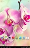 Orchids Live Wallpaper screenshot 1