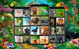 Animals Wallpapers screenshot 8