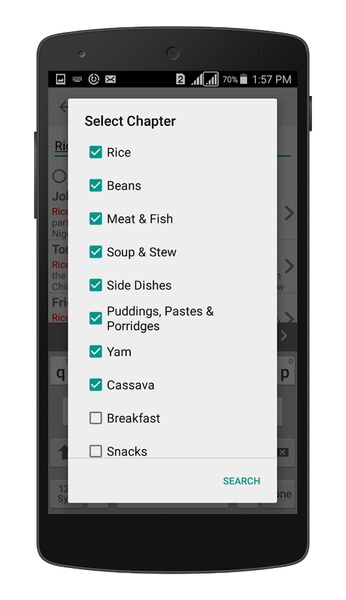 Nigerian Recipes - Preview 14