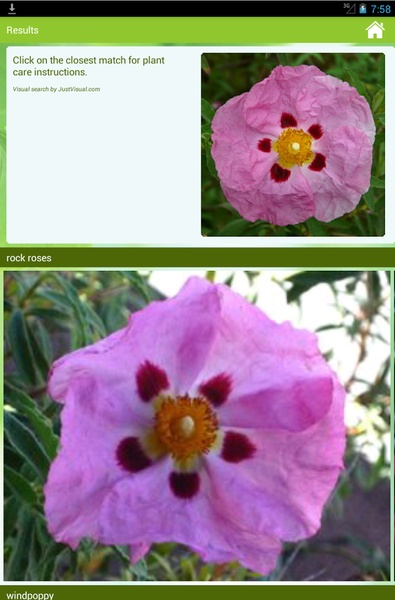 GardenAnswers - Preview 2