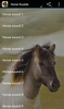 Horse Sounds screenshot 1