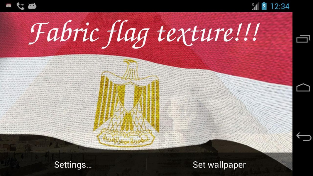 Egypt Flag - Preview 4